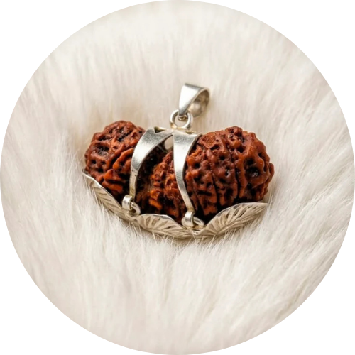 Rudraksha