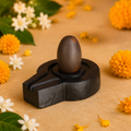 1.5 Inch Narmadeshwar Shivling with 3 Inch Jaldhari